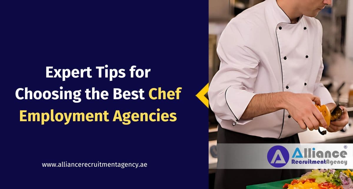 Choosing the Best Chef Employment Agencies for Your Kitchen Chef employment agencies